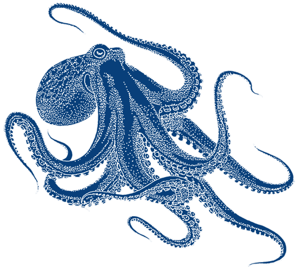 rustopus logo
